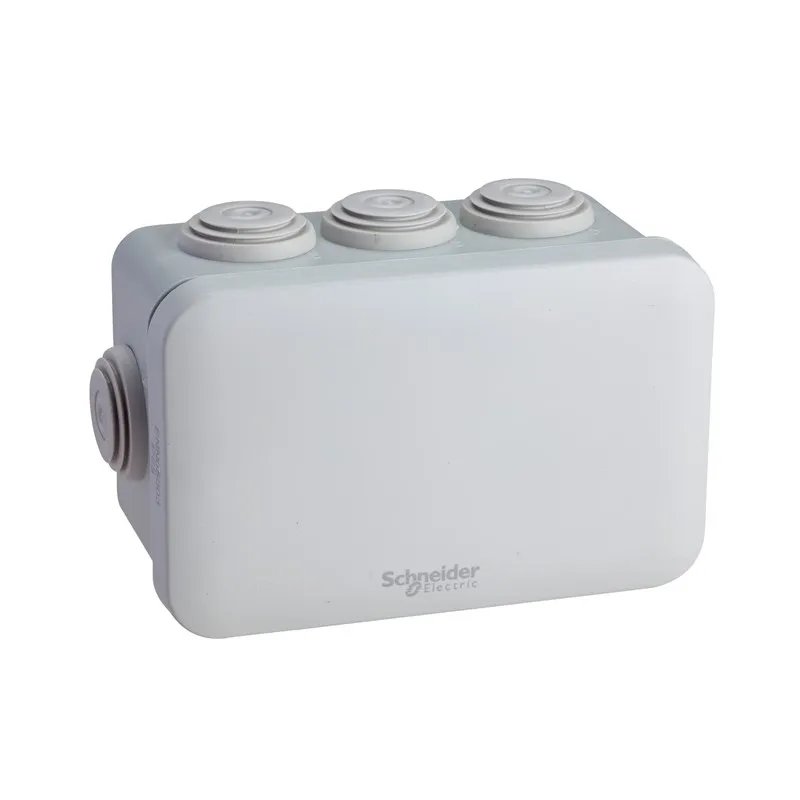 Schneider Electric aftakdoos met uitgang 105x65x55
